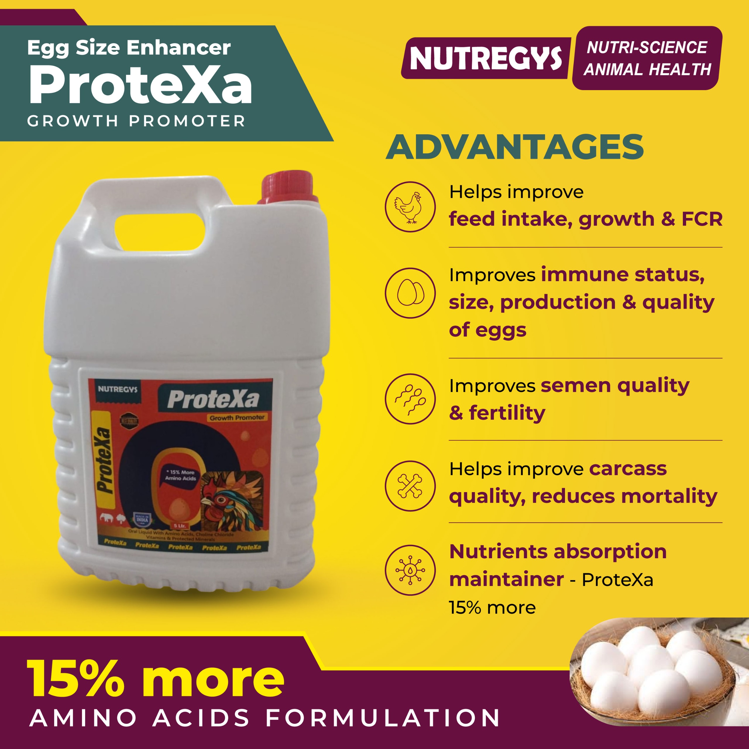 WhatsApp Image 2025-05-09 at 10.49.24 AM.jpeg